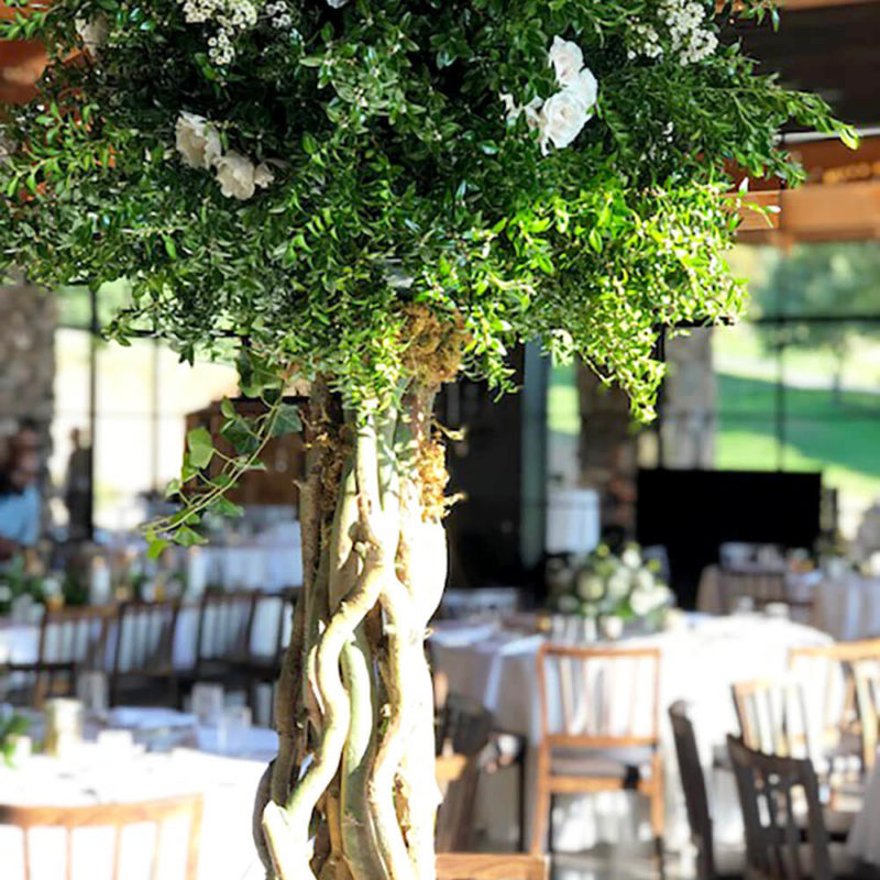 Botanical Green Topiary with White Roses